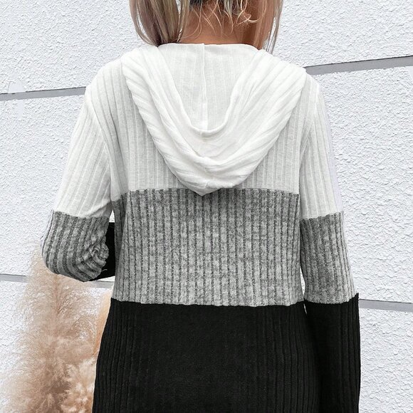 Multicolor Casual Women's Color Block Half Zip Drawstring Hooded Tee - Picture 3 of 6